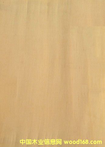 ɽ�𻨵�Ԕ��(x��)��B