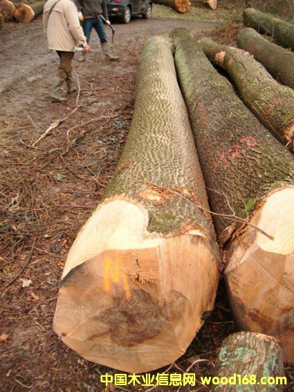 �W��ˮ������Ԕ��(x��)��B