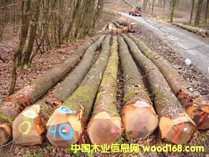 �W�ް����Ԕ��(x��)��B