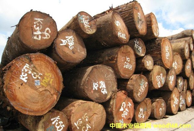 ���ѵ�Ԕ��(x��)��B