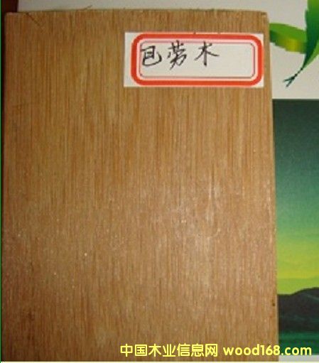 �̈́�ľ��Ԕ��(x��)��B