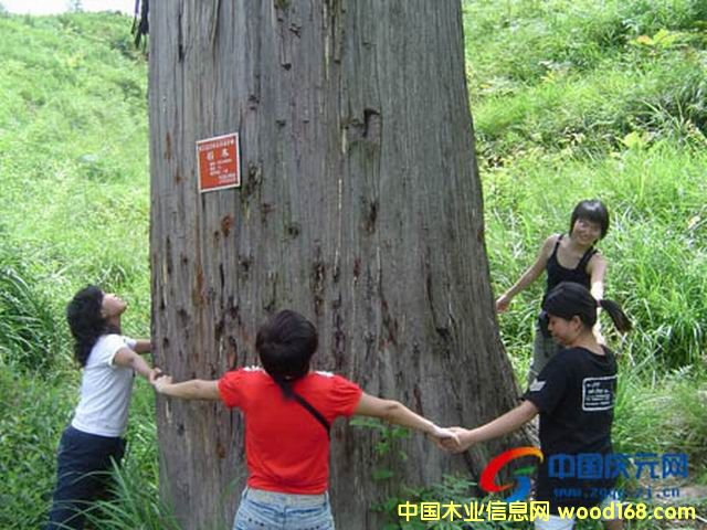 ��ɼľ��Ԕ����B