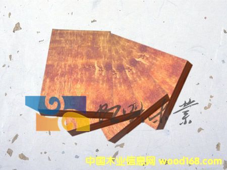 ����ģ���Ԕ����B