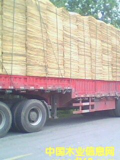 ��ľ�ΰ� ľƤ ��Ƥ��Ԕ����B