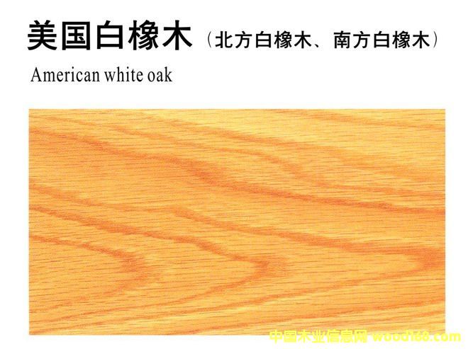 ��������ľ��Ԕ����B