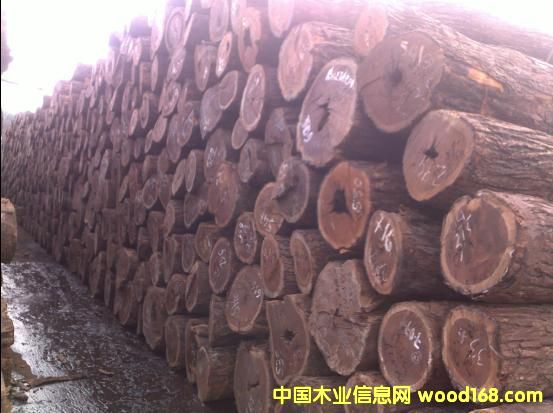 �t�F����Ԕ��(x��)��B