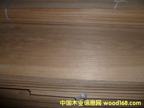 �ذ�ľƤ��Ԕ��(x��)��B