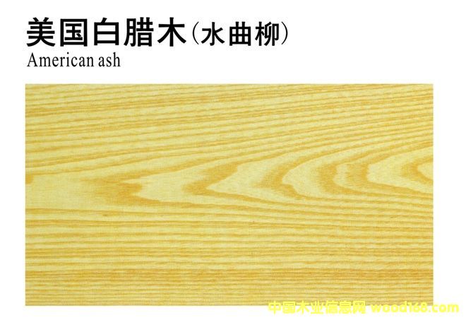 �������Dľ(ˮ����)��Ԕ����B