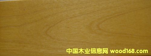 ����ľ�w��ľ�ذ��Ԕ����B