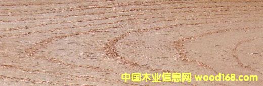 �t���Ԕ��(x��)��B