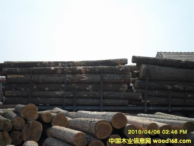 �����ɵ�Ԕ��(x��)��B