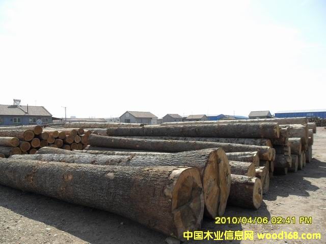 ԭľ��Ԕ��(x��)��B