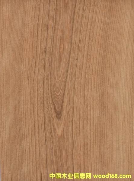 ����ľƤ��Ԕ��(x��)��B