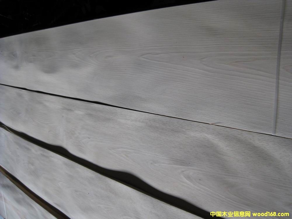 �Gꖻ�ľƤ��Ԕ��(x��)��B