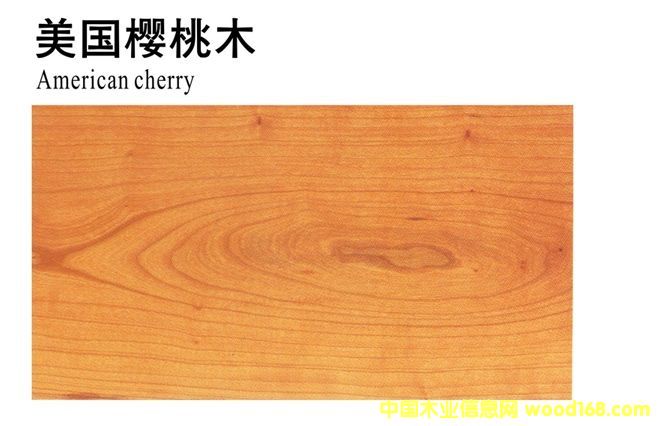 ��������ľ��Ԕ��(x��)��B