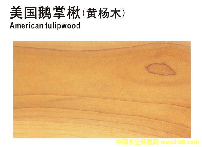 �����Z���ľ(�S��ľ)