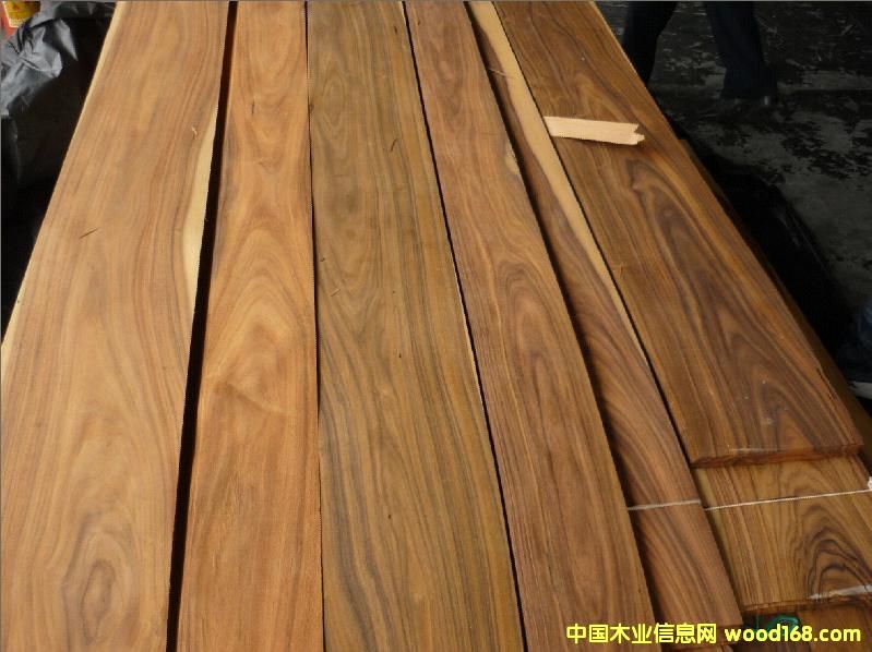 ��֦��Ԕ����B