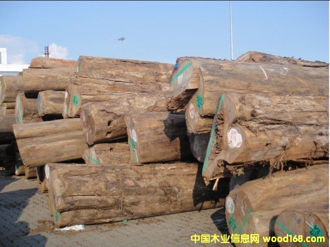 ���郞(y��u)�|(zh��)��ľ��Ƭ�ĵ�Ԕ��(x��)��B