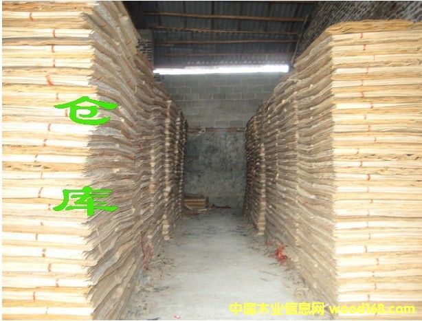 ��ľ�ΰ��Ԕ��(x��)��B