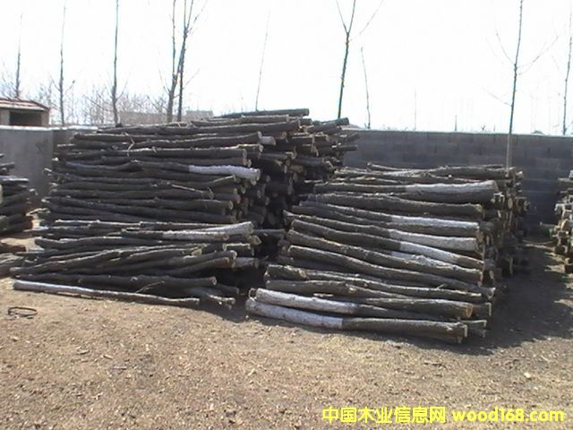 ��ľ��Ԕ��(x��)��B