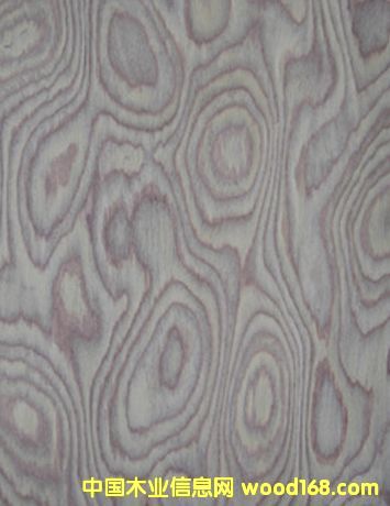 �Ƽ�ľľƤ��Ԕ��(x��)��B