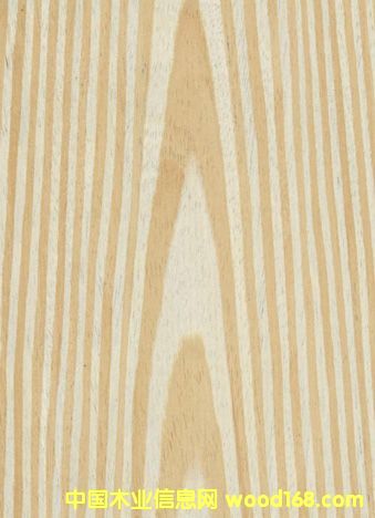 �Ƽ�ľľƤ��Ԕ��(x��)��B