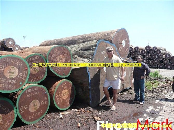 ΢���S̴��Ԕ����B