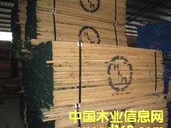 ����ľ�ļt��������ľ���Dľ�ȵ�Ԕ��(x��)��B