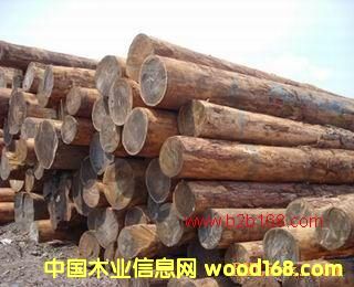 ��ľԭľ4��Ԕ��(x��)��B