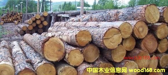 ��ľԭľ3��Ԕ��(x��)��B