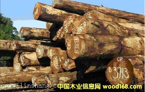 ��ľ���������_�T���󏽣���Ԕ��(x��)��B