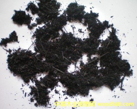 ��̿�z��Ԕ��(x��)��B