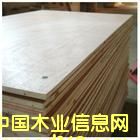 ��о��Ԕ��(x��)��B