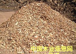 ���zľ����Ԕ��(x��)��B