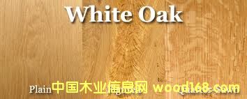 ��������ľ��Ԕ��(x��)��B