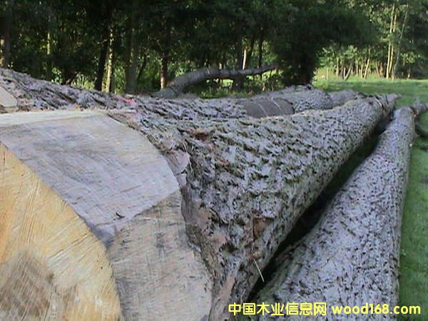 �W�ޗ�ľԭľ��Ԕ����B