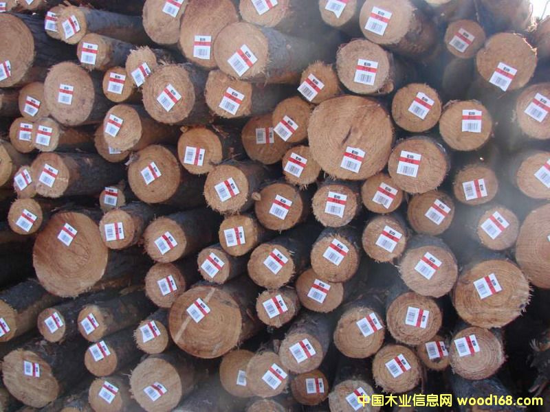 ����ݗ����ԭľ2��Ԕ����B