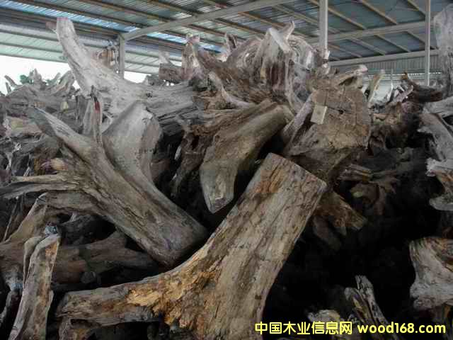 �ϓ�t��֦��(sh��)�^����(sh��)����Ԕ��(x��)��B