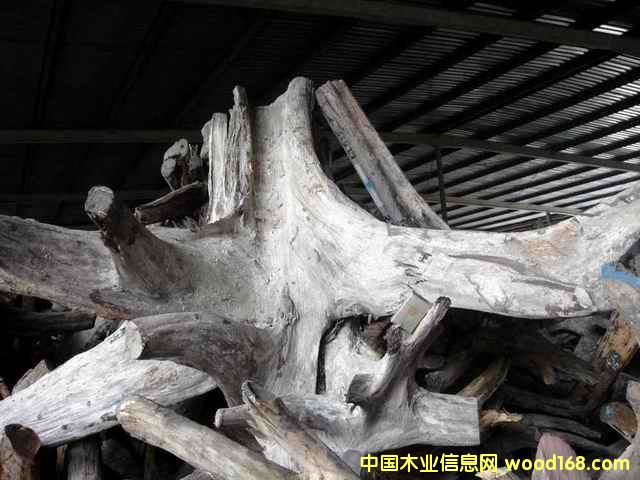 �ϓ�t��֦��(sh��)�^����(sh��)����Ԕ��(x��)��B