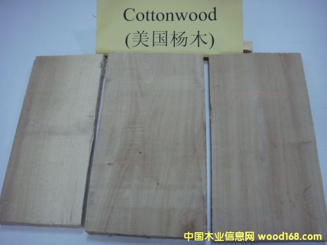 ������ľCottonwood��Ԕ��(x��)��B