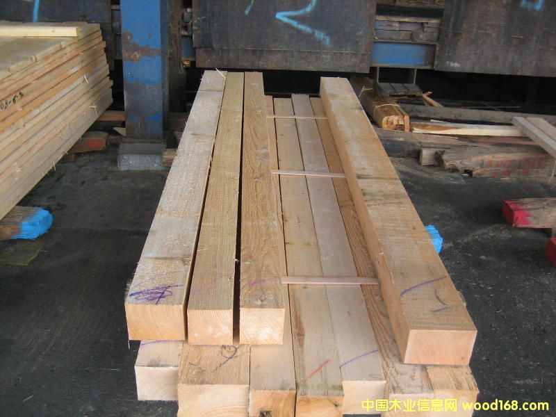 ��ɼ���1��Ԕ��(x��)��B