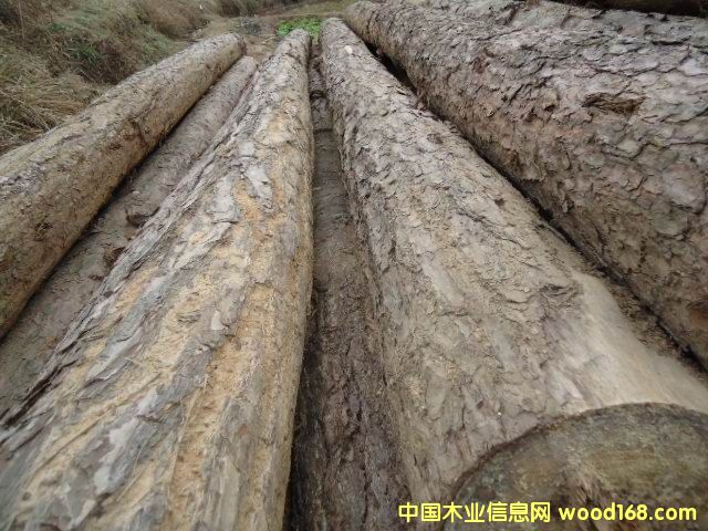 ��ľԭľ��Ԕ��(x��)��B