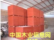 ���ɼt�潨��ģ���Ԕ����B