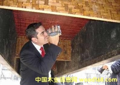 ����(y��ng)ӆ�����NҎ(gu��)��Ę������z���Ԕ����B