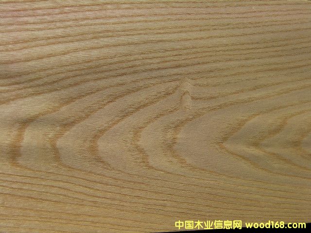 ��ľ��Ԕ����B