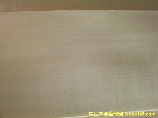 �ľ��Ԕ����B