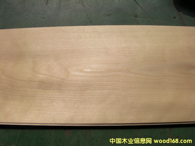 ��ľ��Ԕ����B