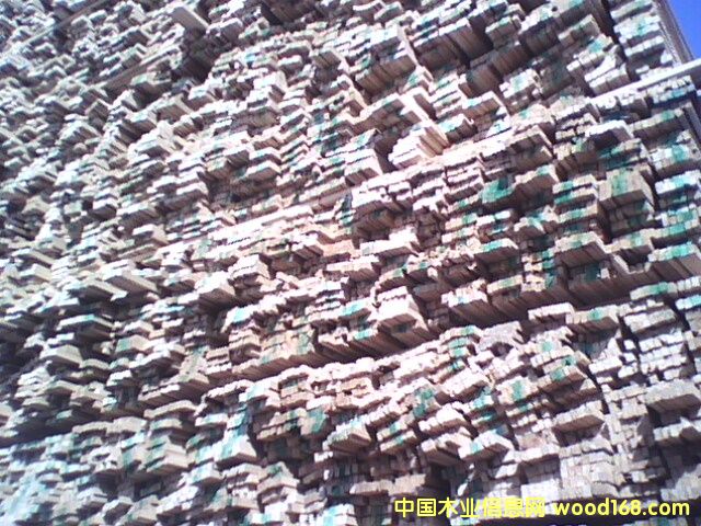 ľ����ľ��������Ԕ����B