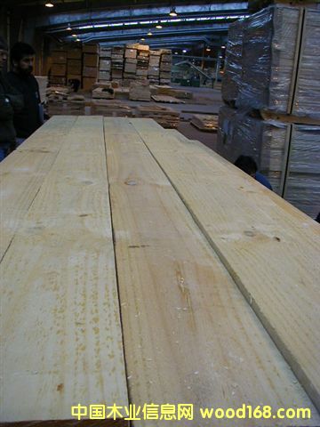 FSC ݗ���ɵ�Ԕ����B