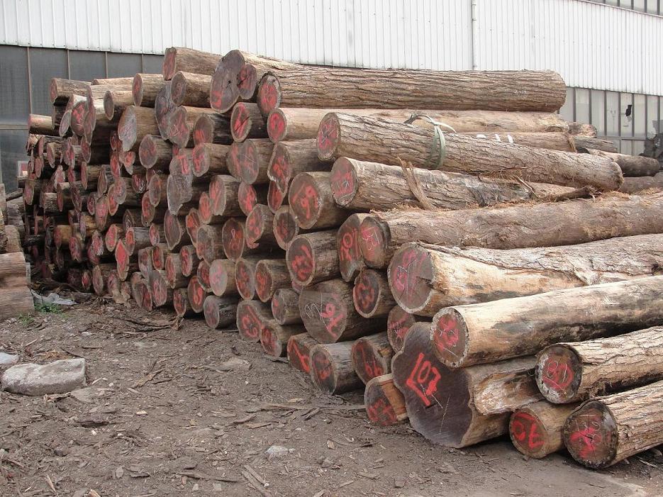 �������S̴��Ԕ��(x��)��B